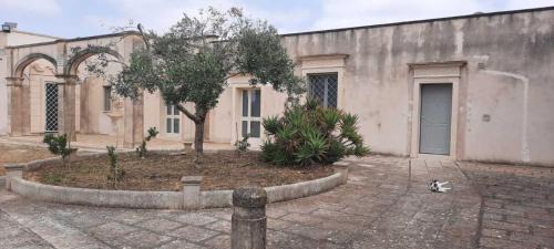 Lizzanello House | Anghelos