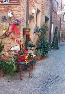 Terricciola Apartment | Angolo Della cei