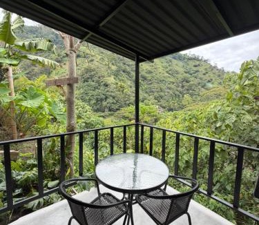 Ibague Other | Animadbali1