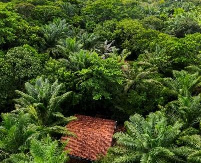 Velha Boipeba Hotel | Anjali