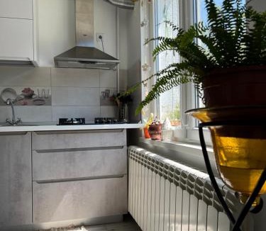 Ocna Mures Apartment | Ank's Apartment