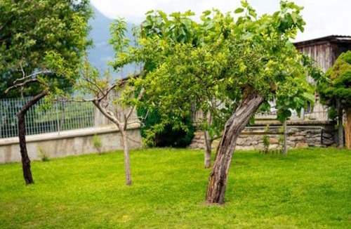 Valtellina Apartment | Anna nel verde