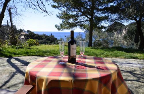 Liapades Apartment | Anna Pension