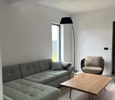Livezeni Villa | ANON Mures