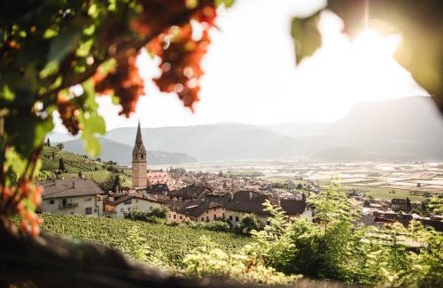 Tramin Apartment | Ansitz Rynnhof - Ferienwohnungen am Bioweinhof in Tramin, Ruhe, Wein & Aktivurlaub