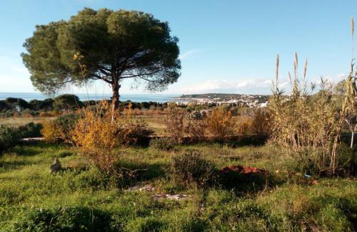 Galatone House | Antica Tenuta