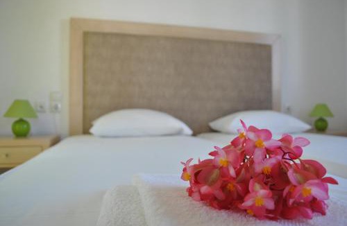 Milatos Beach Apartment | Antigoni Apartments 'Olive Room'