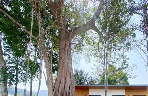 Krabi Resort | Aonang Green Tree