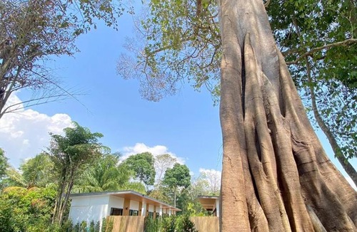 Krabi Resort | Aonang Green Tree