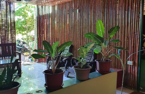 Lapu-Lapu Hotel | AOSMEC Square Hotel