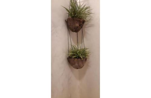 Icarai de Amontada Apartment | Apê Bossa Nova, aconchego e charme!