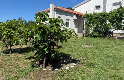 Dobra Voda Apartment | AparDibra