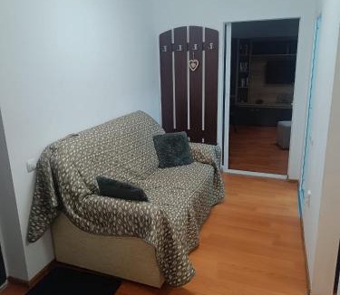 Bicaz Apartment | Apart Robert 1