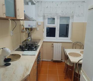 Bicaz Apartment | Apart Robert 1