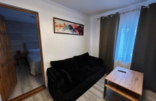 Bicaz Apartment | Apart Robert 2
