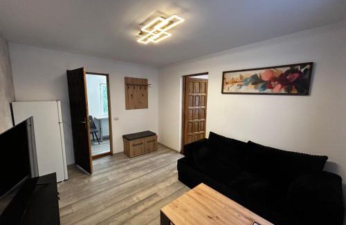 Bicaz Apartment | Apart Robert 2
