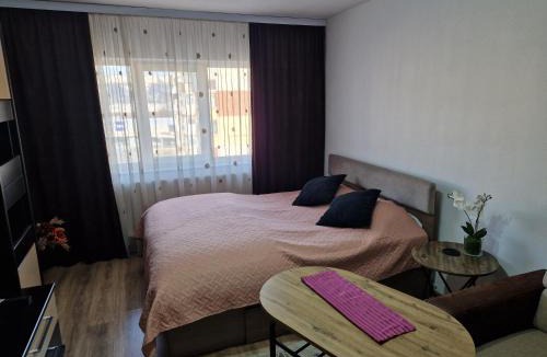 Campulung Apartment | Apartament 2 camere Campulung Muscel
