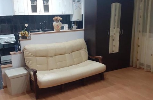 Emanoil Gojdu Apartment | Apartament 2 camere