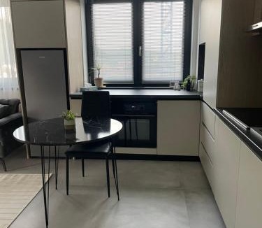 Ramnicu Valcea Apartment | Apartament A&Maya