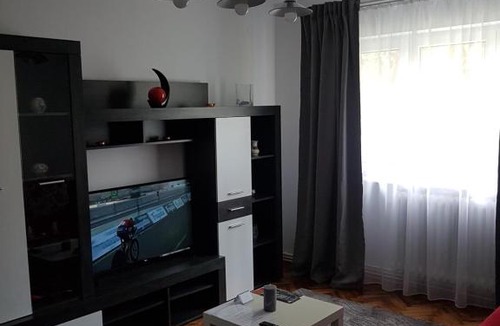 Emanoil Gojdu Apartment | Apartament Alina