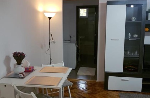 Emanoil Gojdu Apartment | Apartament Alina