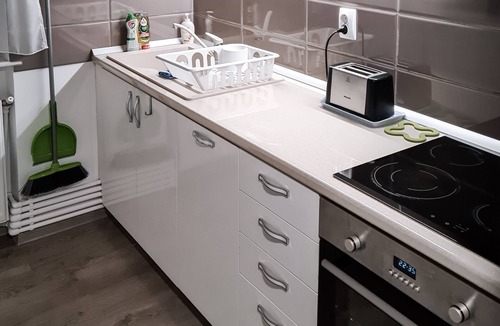 Emanoil Gojdu Apartment | Apartament Alina