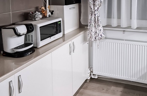 Emanoil Gojdu Apartment | Apartament Alina