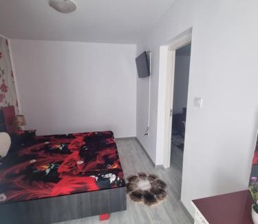 Saturn Apartment | Apartament Alina
