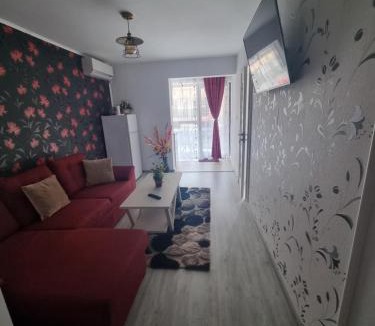 Saturn Apartment | Apartament Alina