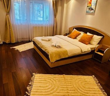 Azuga Apartment | Apartament Azuga