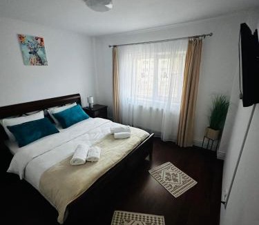 Azuga Apartment | Apartament Azuga