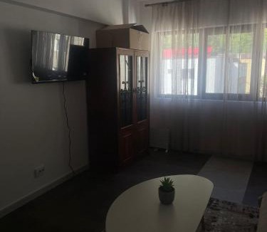 Baile Herculane Apartment | Apartament Baile Herculane
