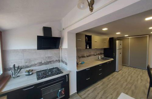 Blaj Apartment | Apartament Blaj