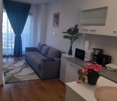 Saturn Apartment | Apartament Camelia