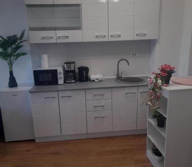 Saturn Apartment | Apartament Camelia