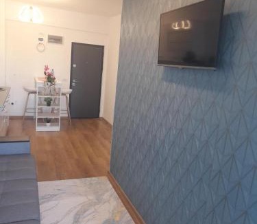 Saturn Apartment | Apartament Camelia
