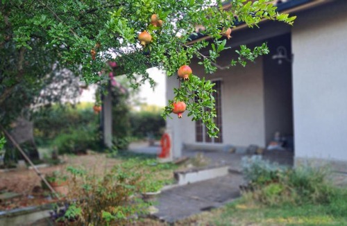 Castenaso Apartment | Apartament Cedro del Libano