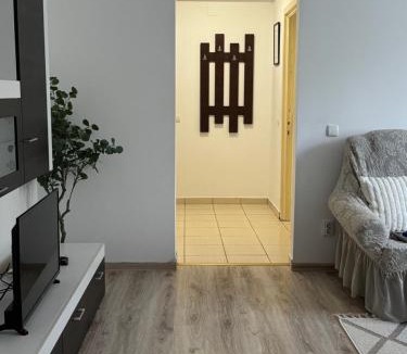 Botosani Apartment | Apartament Central Pietonalul Unirii