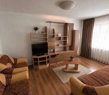 Moinesti Apartment | Apartament Central