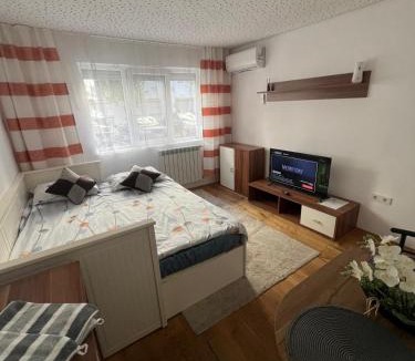 Arad Apartment | Apartament Chic