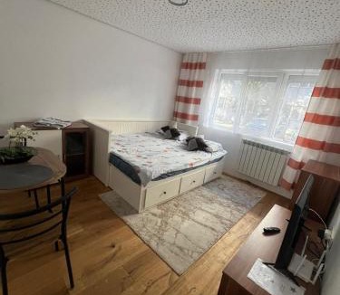 Arad Apartment | Apartament Chic
