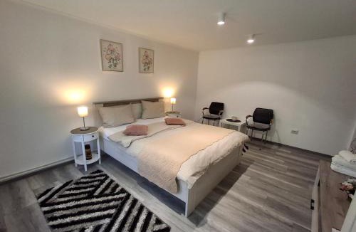 Emanoil Gojdu Apartment | Apartament Claudia