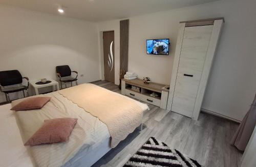 Emanoil Gojdu Apartment | Apartament Claudia