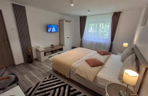 Emanoil Gojdu Apartment | Apartament Claudia