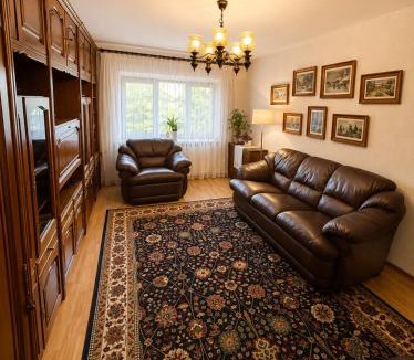 Scheia Apartment | Apartament confortabil cu balcon și vedere spre zona verde Obcini, Suceava