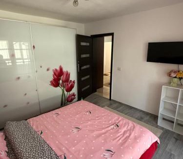 Dragasani Apartment | Apartament cozy