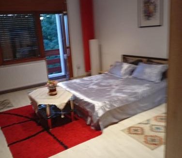 Calea Sever Bocu Apartment | Apartament cu 2 dormitoare și terasa Valentin, Iulius Mall