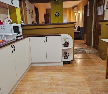 Emanoil Gojdu House | Apartament David Deva - 2 dormitoare & 1 living