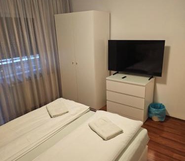 Emanoil Gojdu House | Apartament David Deva - 2 dormitoare & 1 living