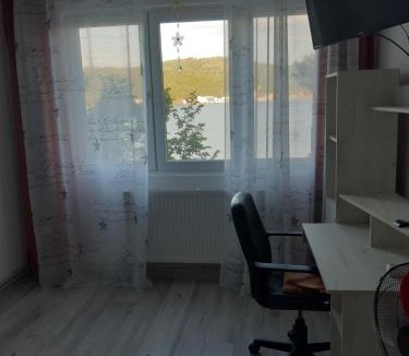 Orsova Apartment | Apartament Edy